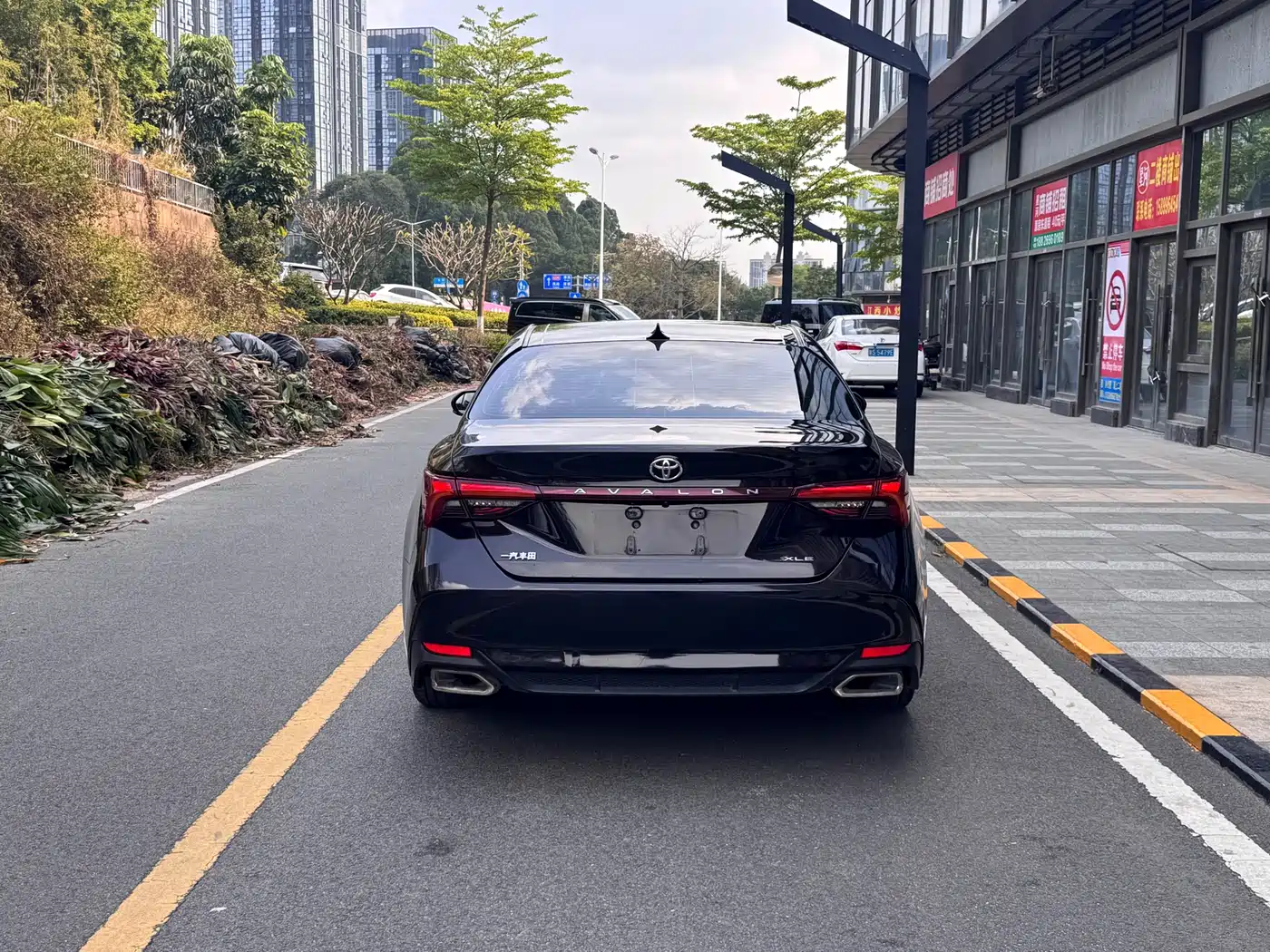Toyota Avalon 2019 2.0L XLE Premium Edition (China VI) фото 5