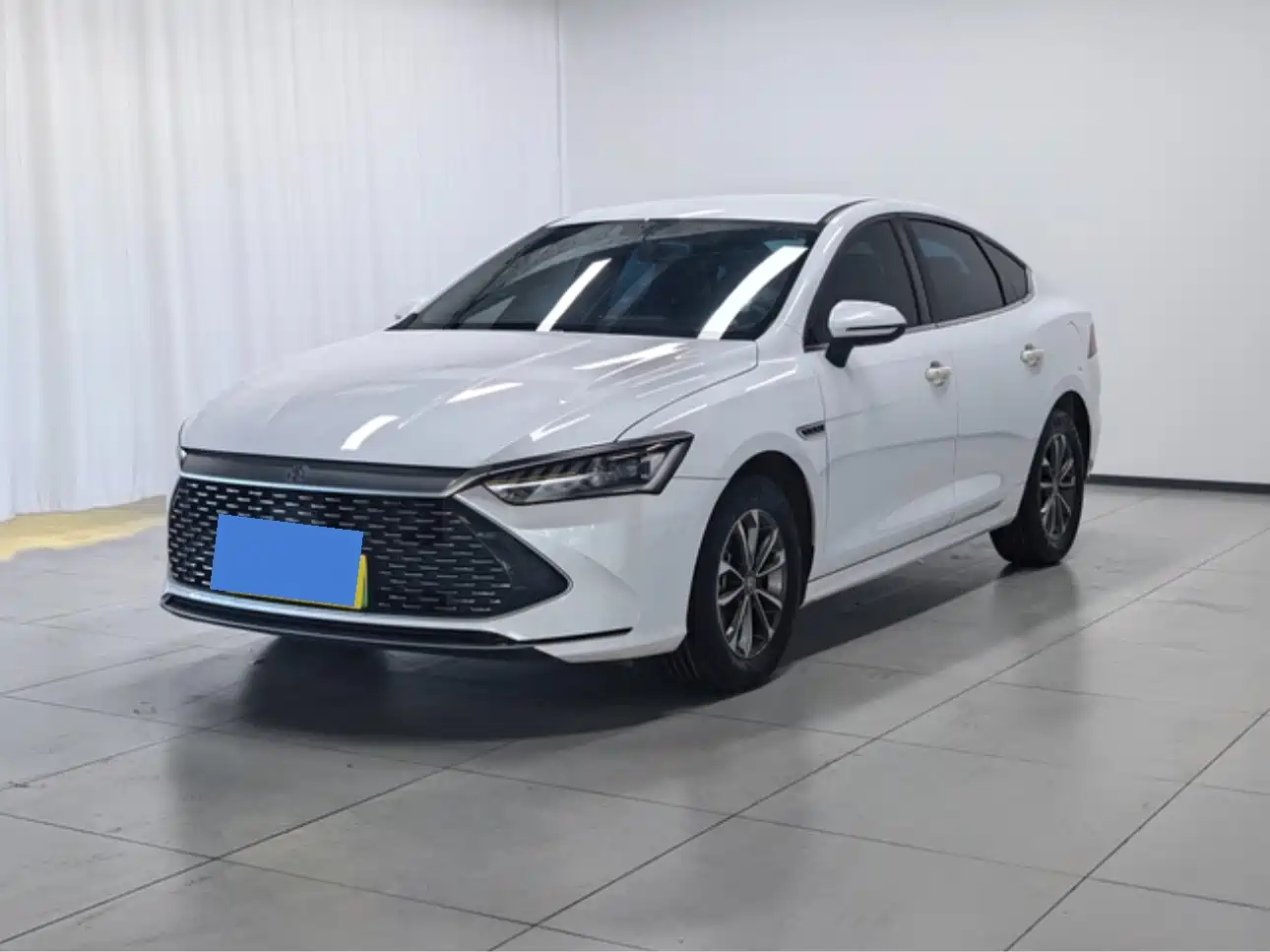 BYD Qin PLUS 2023 Champion Edition DM-i 55KM Leading