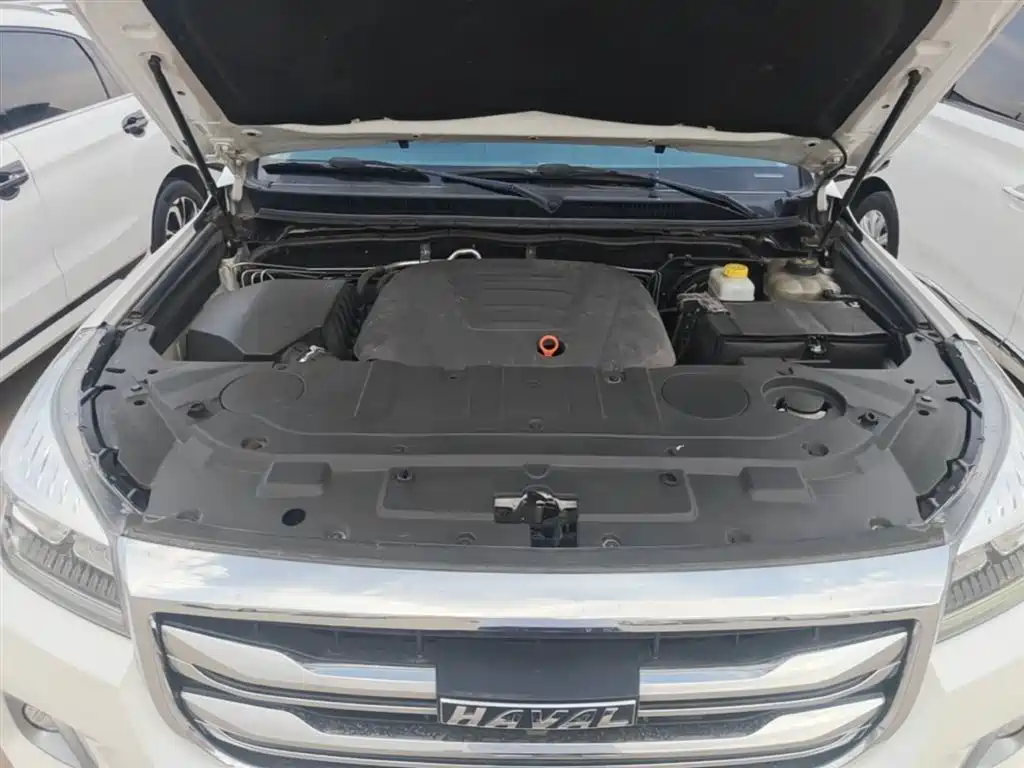 Haval H9 2020 2.0T Gasoline 4WD Elite 5-Seater фото 20