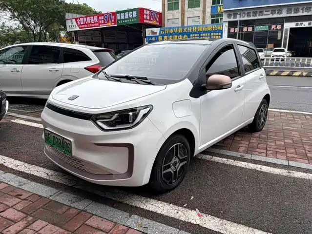Sehol Flower Fairy 2021 302km Luxury Edition 31.4kWh