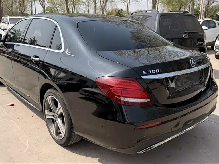 Mercedes-Benz E-Class 2019 E 200 L Sport фото 6