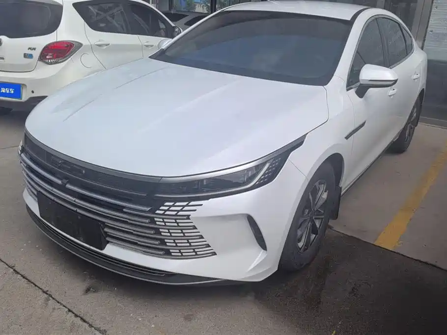 BYD Destroyer 05 2024 Glory Edition DM-i 55KM Luxury