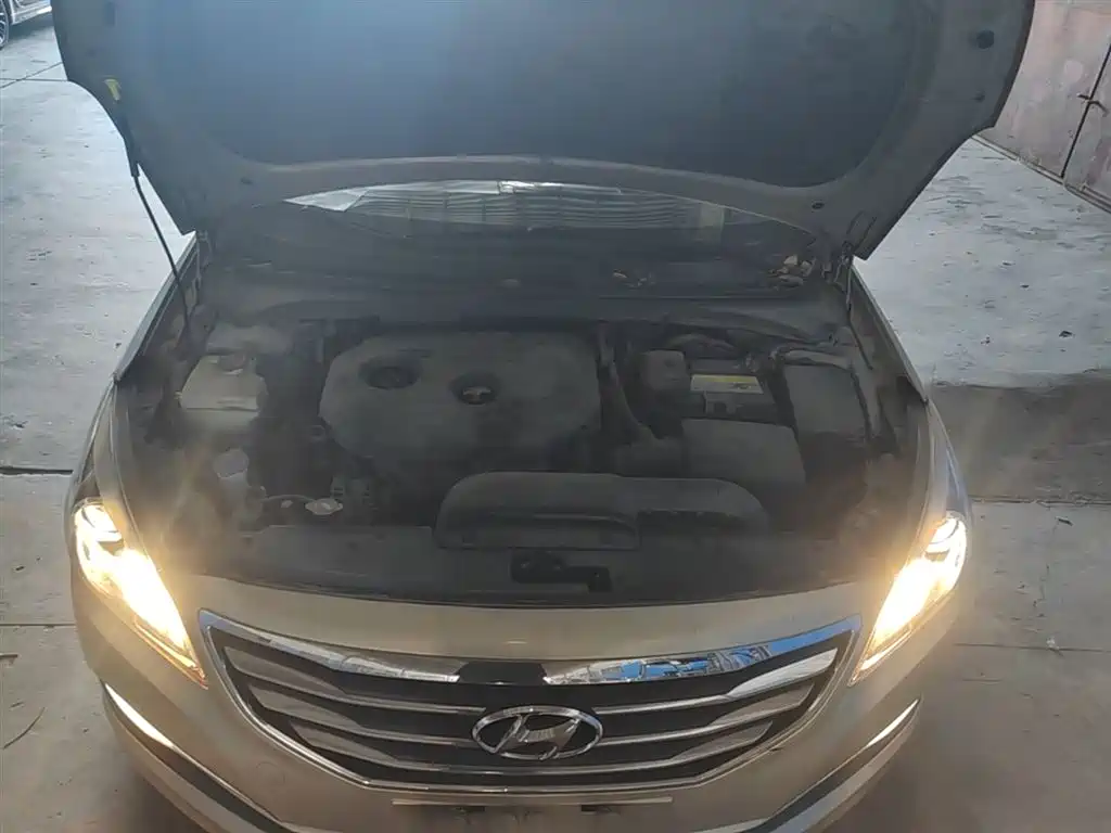 Hyundai Mistra 2014 1.8L Auto Premium DLX фото 20