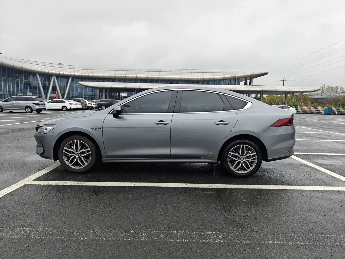 BYD Qin PLUS 2023 Champion Edition EV 420KM Advanced Type фото 8