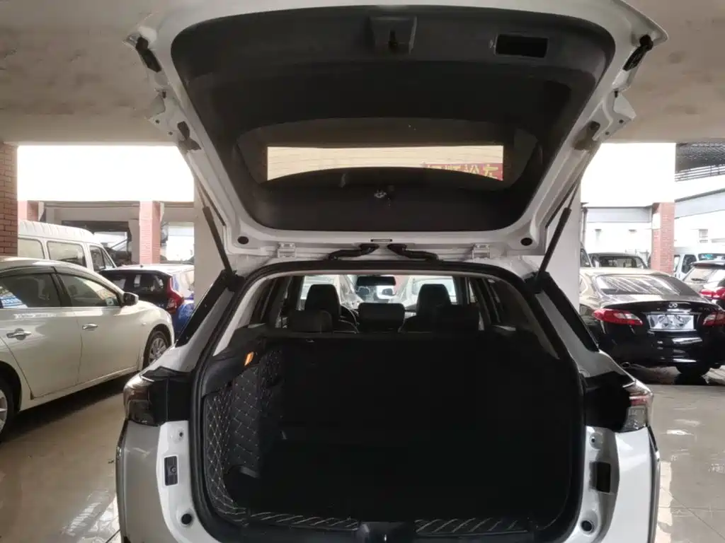 Dongfeng Aeolus Yixuan GS 2021 2020 230T Auto Yuemu Edition