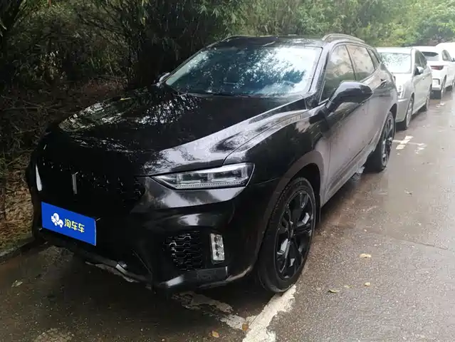 WEI PAI WEI BRAND VV7