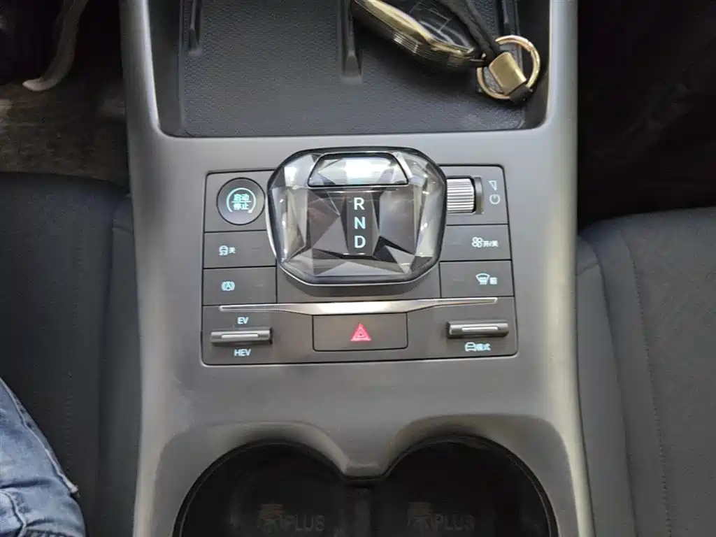 BYD Qin PLUS 2024 Glory Edition DM-i 55KM Leading фото 14