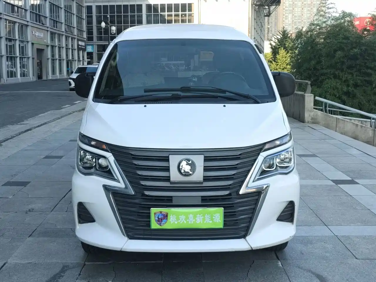 Dongfeng Fengxing Lingzhi New Energy 2023 2023 Passenger Classic Edition 5-Seater