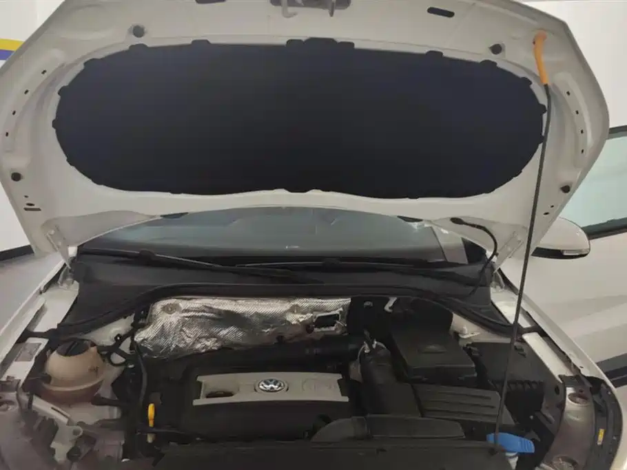 Volkswagen Tiguan 2017 300TSI Automatic 2WD Silk Road Comfort Edition фото 10