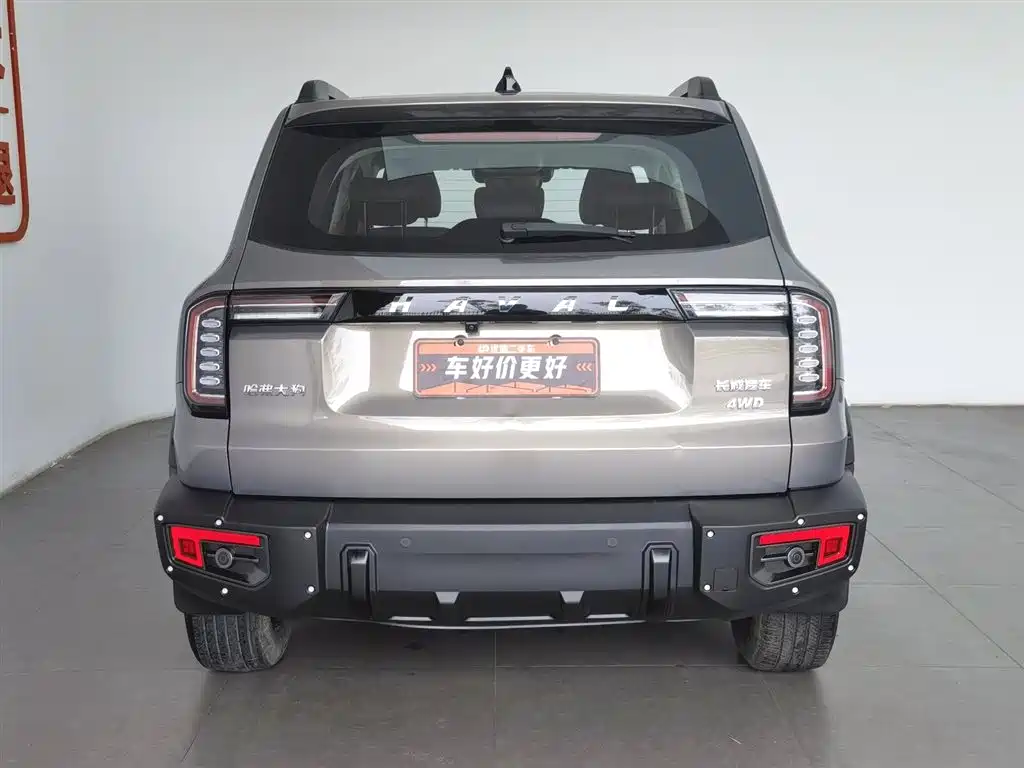 Haval Big Dog 2022 2.0T DCT 4WD Chinese Rural Dog Hunting Edition фото 4