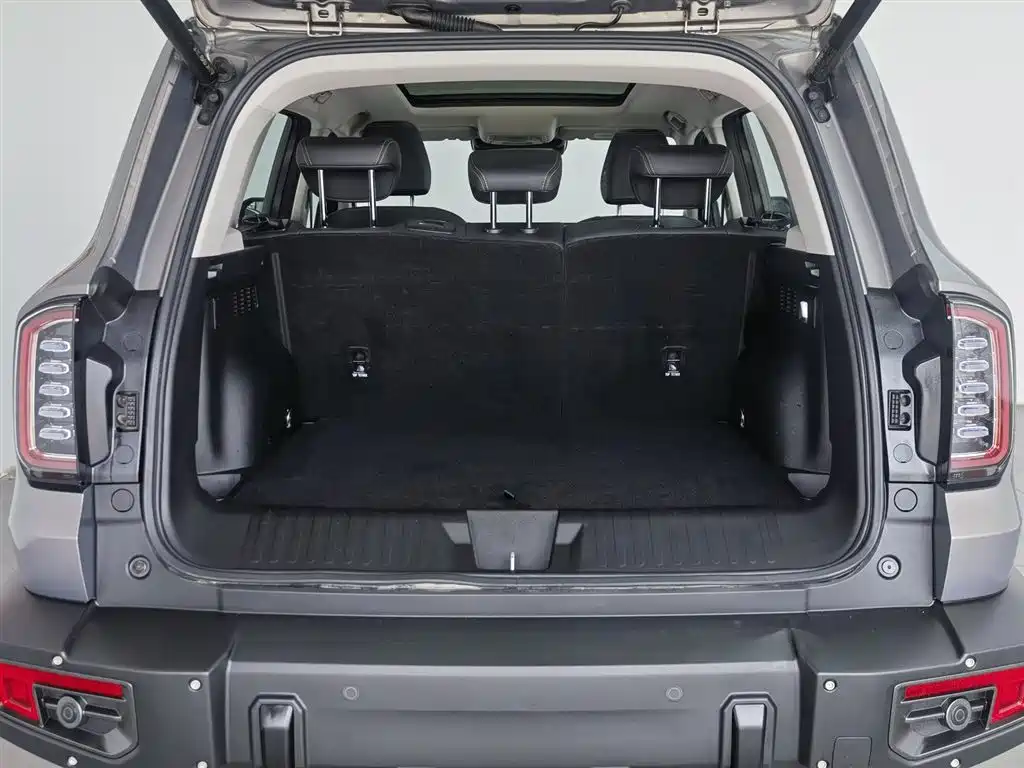 Haval Big Dog 2022 2.0T DCT 4WD Chinese Rural Dog Hunting Edition фото 16