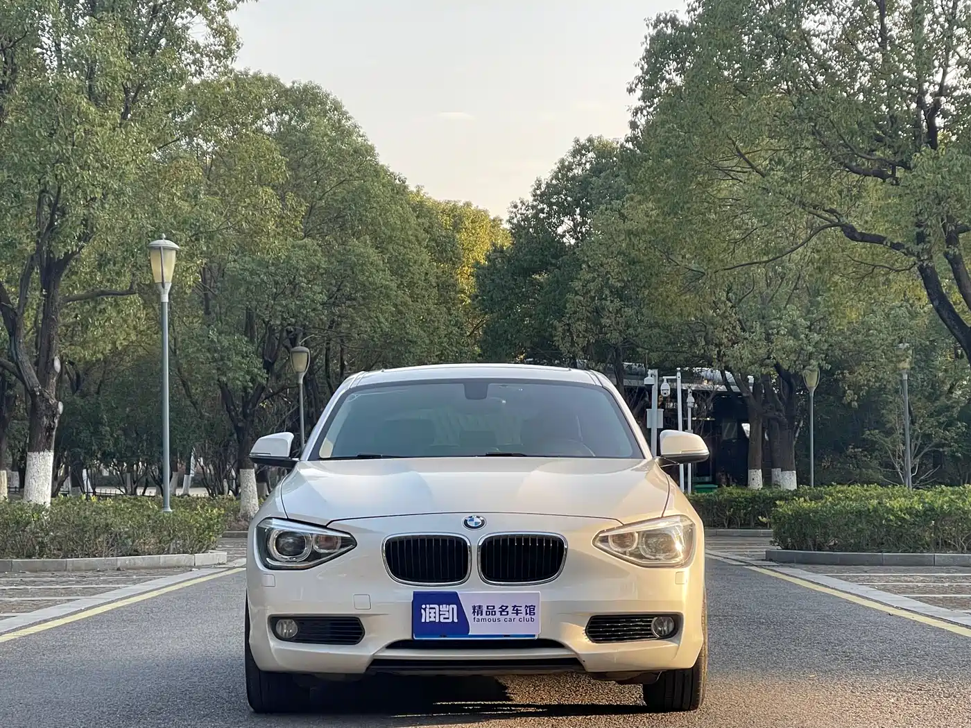 BMW 1 Series (Import) 2013 Facelift 118i Leading Model фото 2