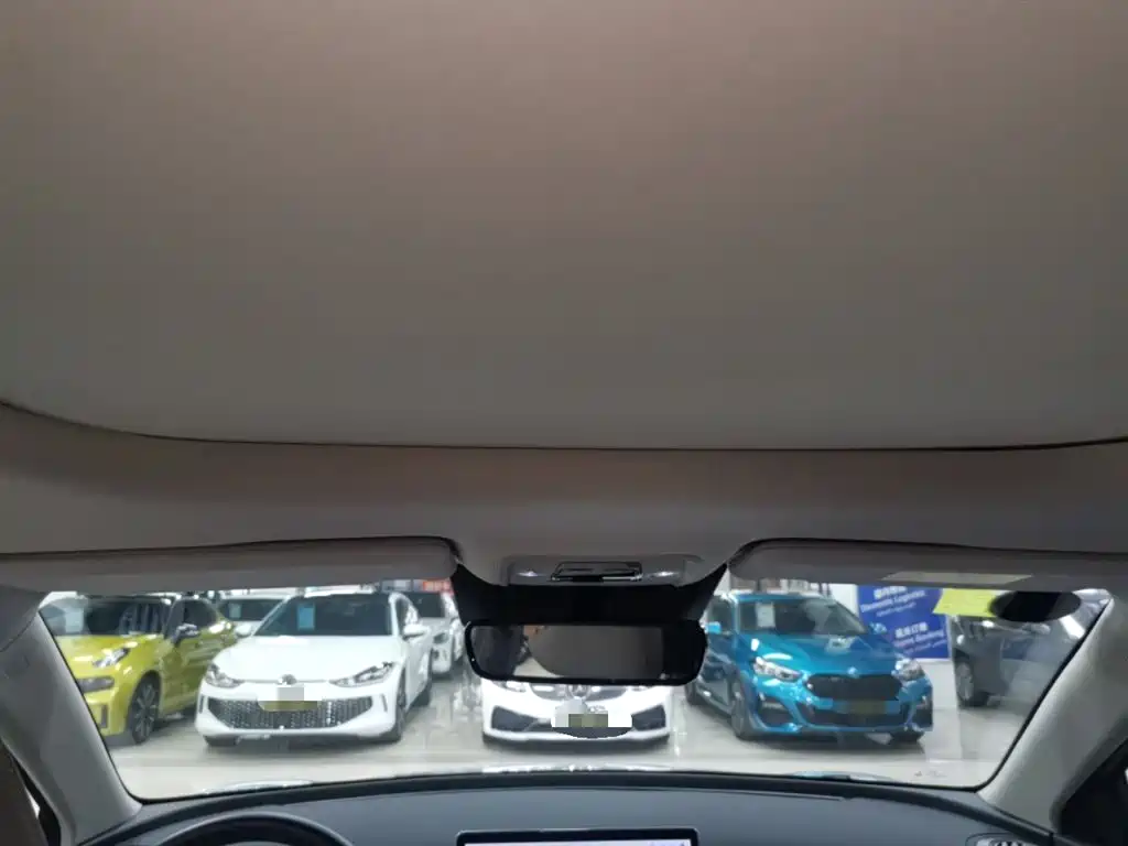 BYD Yuan PLUS 2025 Smart Drive 510KM Surpass Edition фото 11
