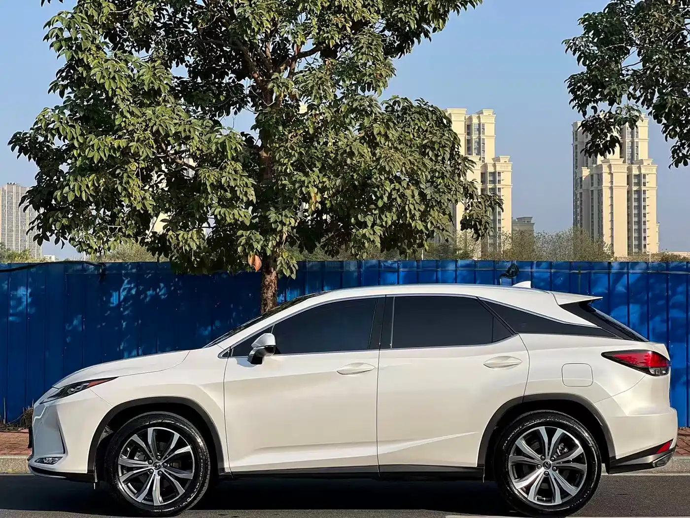 LEXUS RX