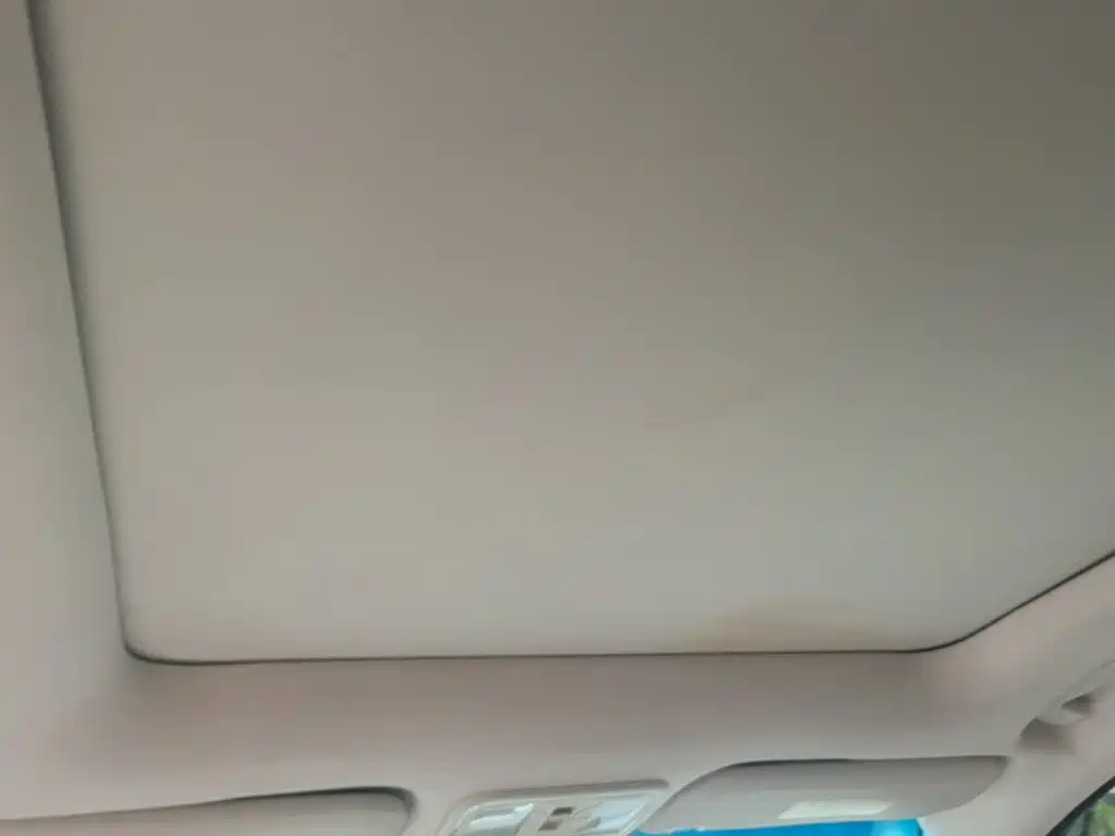 Bisu Auto Bisu T5 2018 2017 1.5T Automatic Luxury