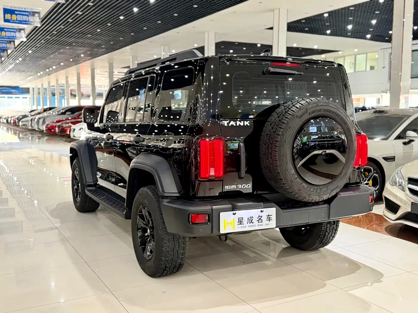 Tank 300 2023 Off-Road Edition 2.0T Conqueror фото 16