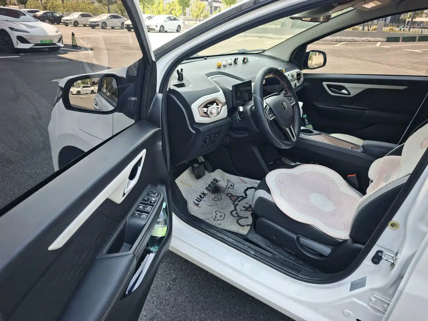 Sehol Flower Fairy 2021 2021 302km Luxury Edition 31.4kWh