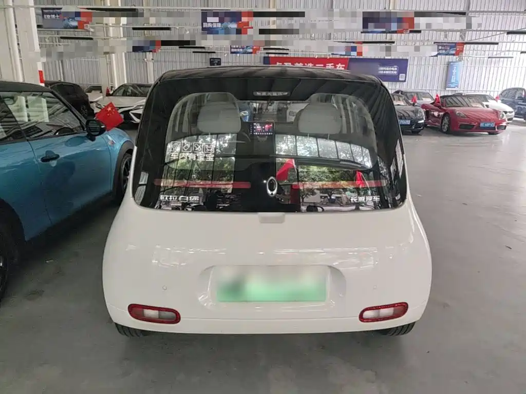 Ora White Cat 2021 2020 360km Luxury Model