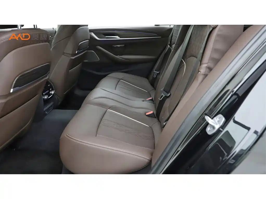 BMW 5 Series 2021 530Li Premium Luxury Package фото 7