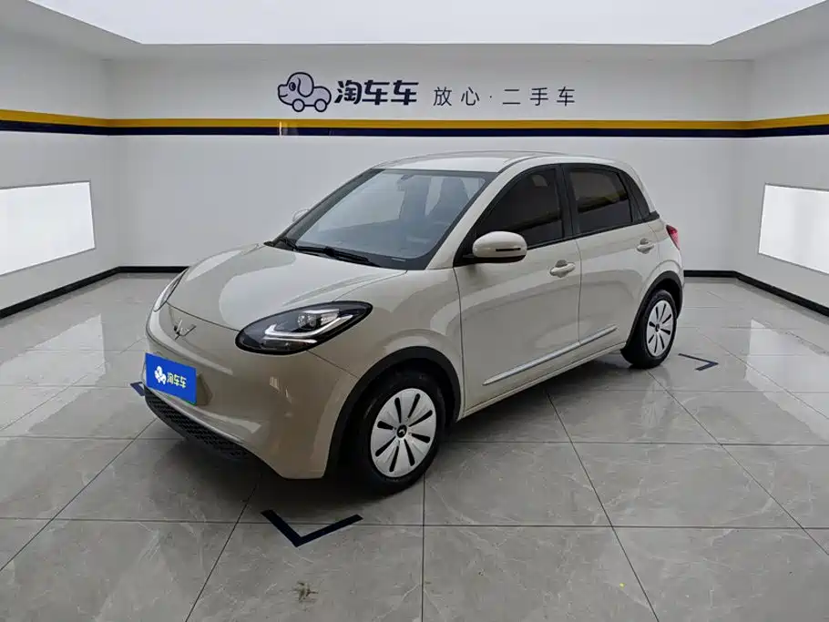 Wuling Motors Wuling Bingo 2023 Model 203km Lite Enjoyment Edition