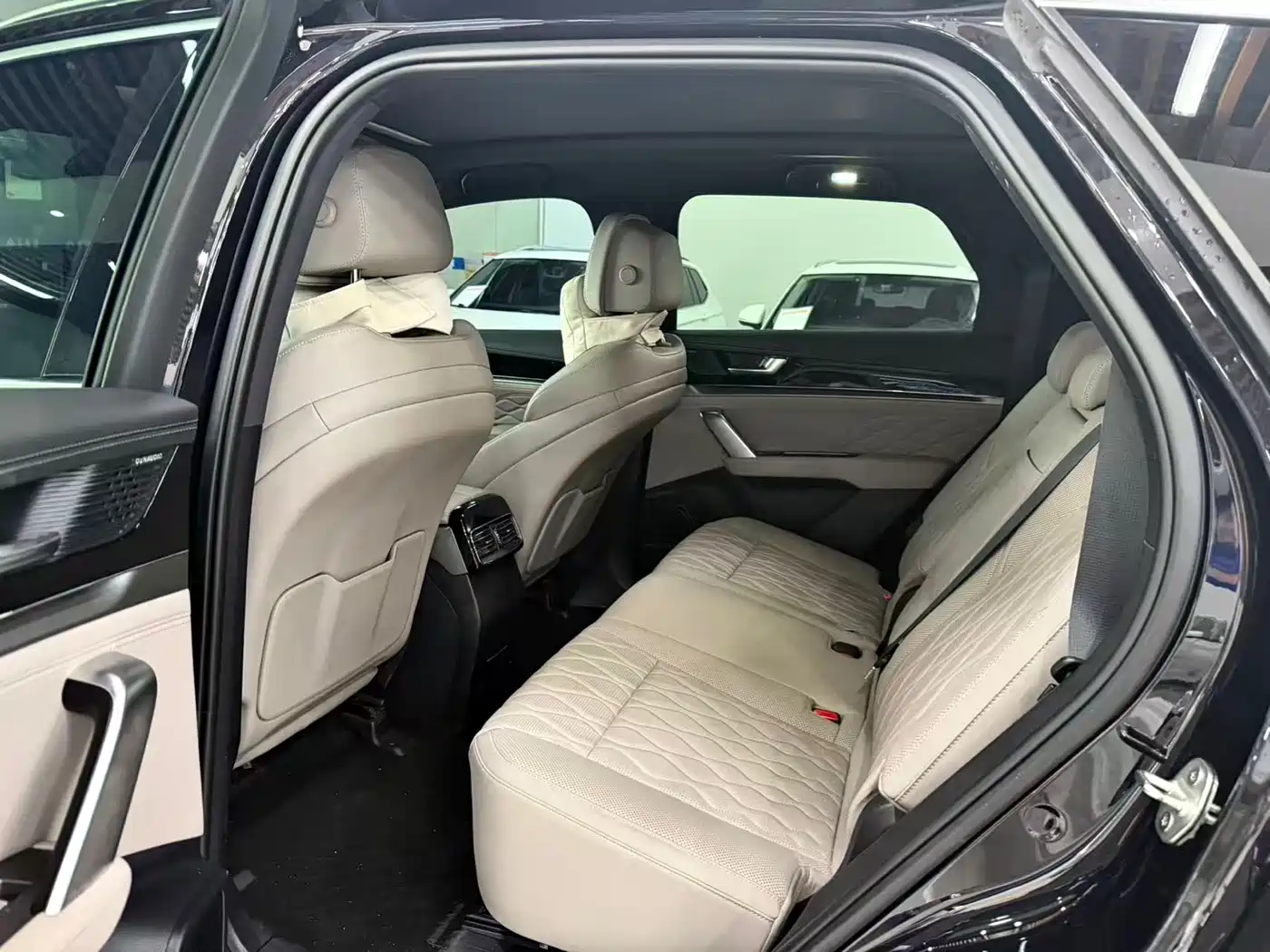 BYD Tang New Energy 2025 Smart Driving Edition DM-i 115KM Flagship фото 6