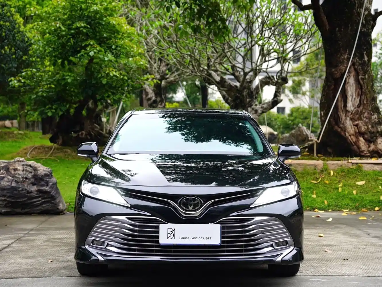 Toyota Camry 2019 2.0G Luxury Edition China VI фото 5