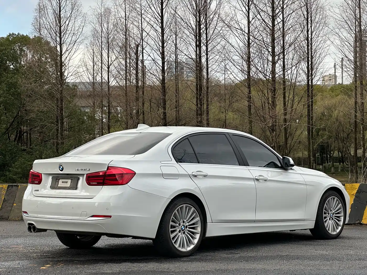 BMW 3 Series 2018 320Li Fashion Style фото 6