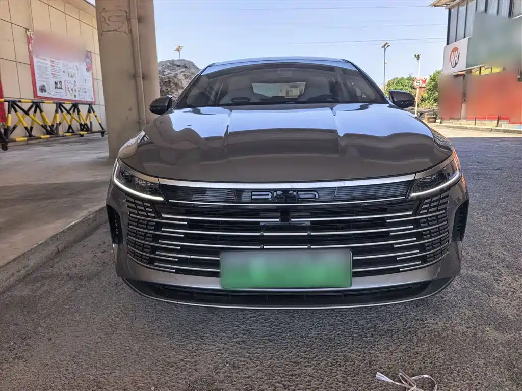 BYD Destroyer 05 2024 Glory Edition DM-i 55KM Luxury фото 7