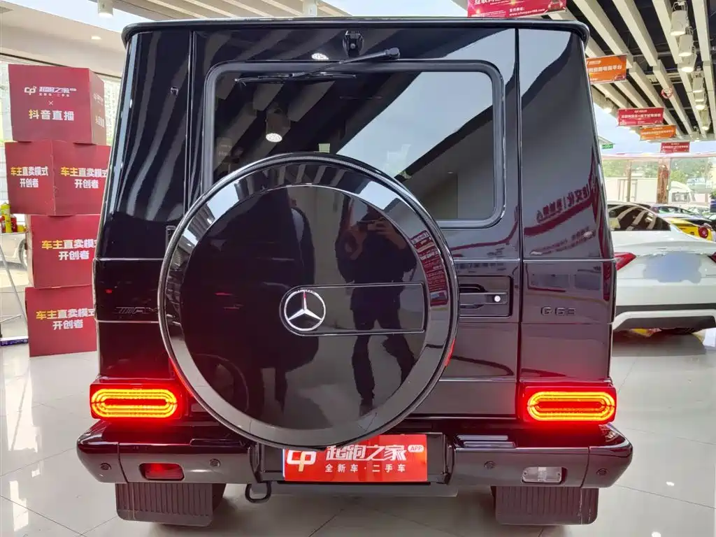 Mercedes-Benz G-Class 2018 G 500 designo Masterpiece Collector's Edition фото 13