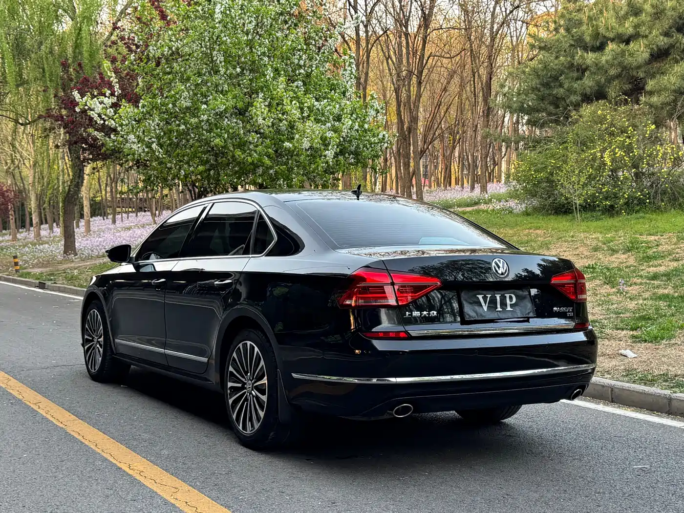 Volkswagen Passat 2016 380TSI DSG Premium Edition фото 24