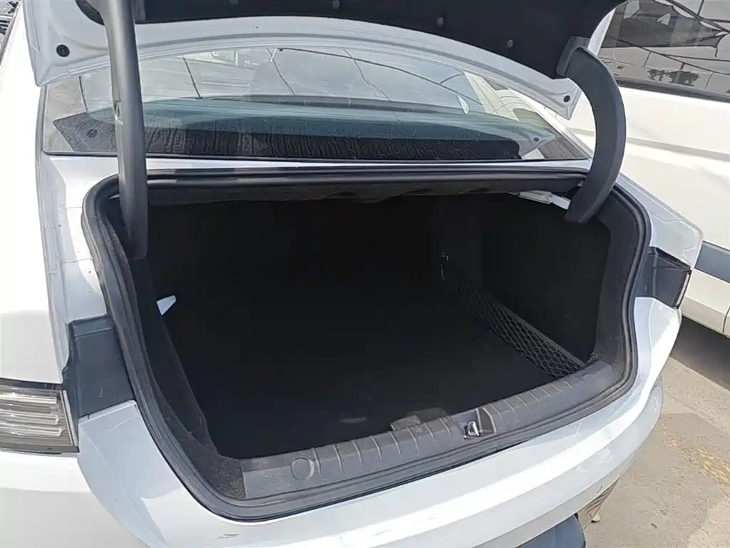 BYD Destroyer 05 2024 Glory Edition DM-i 55KM Luxury фото 15