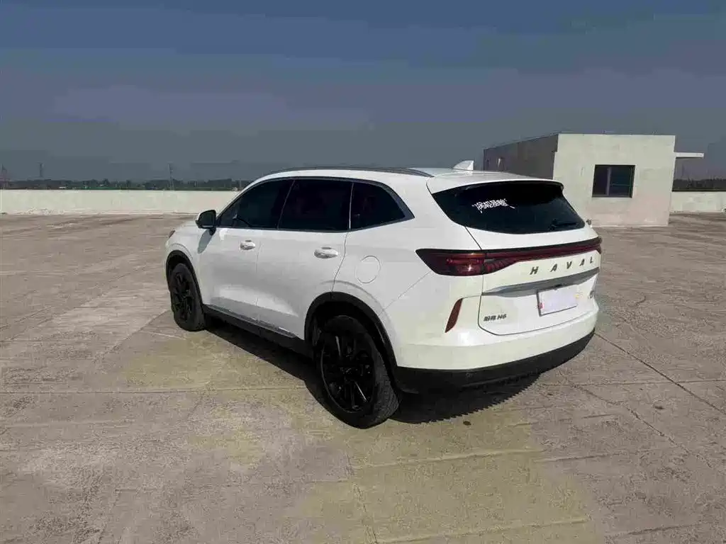 Haval H6 2021 3rd Generation 2.0T Auto AWD Max фото 9