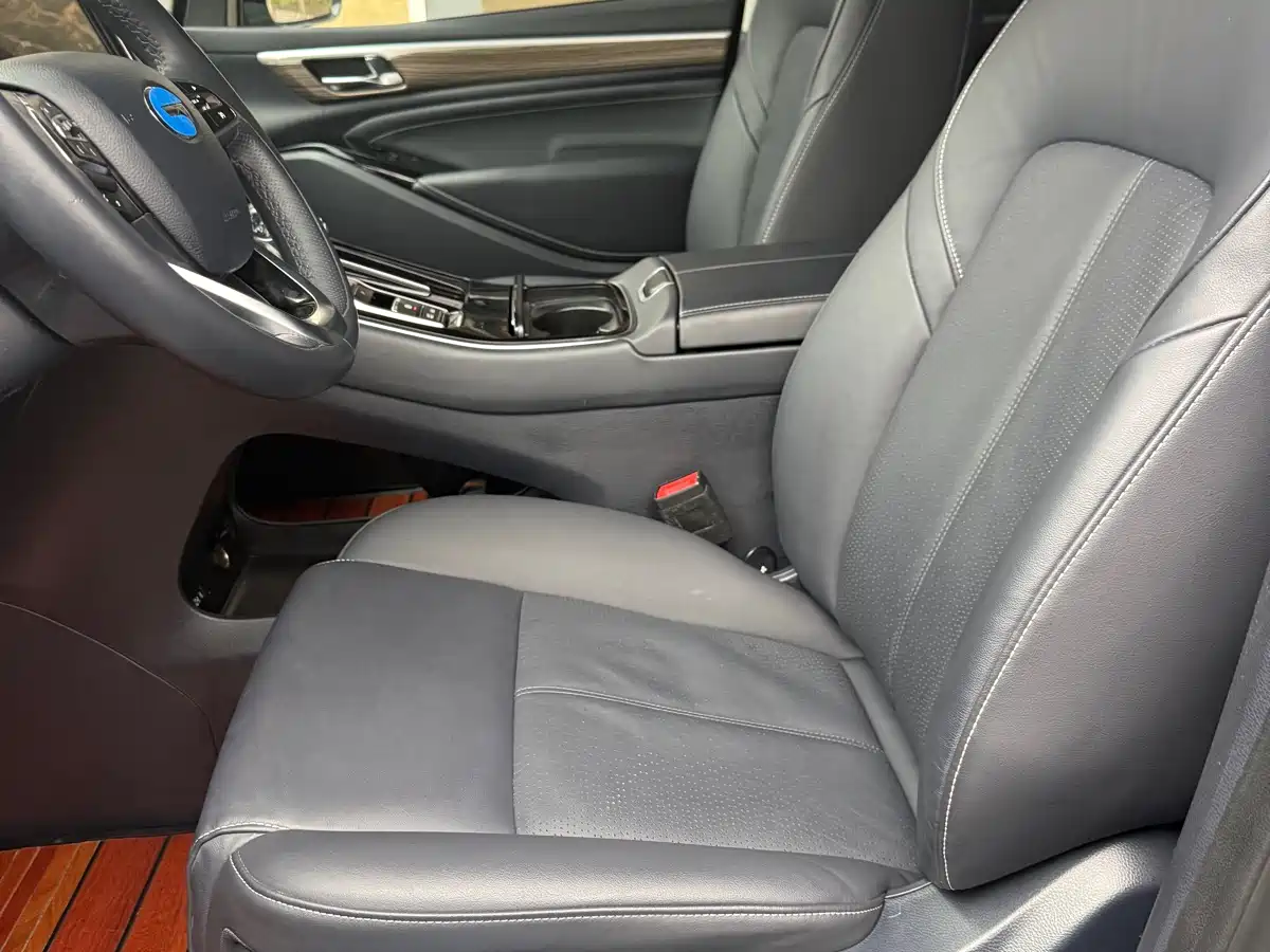 GAC Trumpchi Trumpchi M8 2021 Leading Show Series 390T Premium Edition фото 8