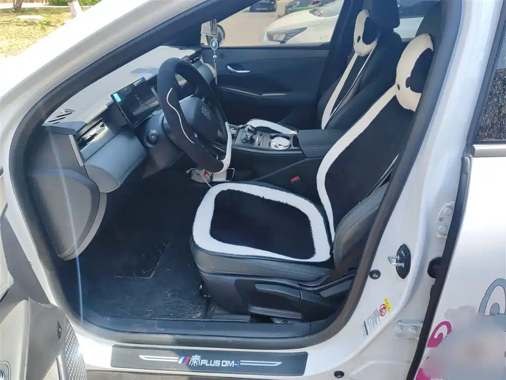 BYD Qin PLUS 2025 DM-i Smart Drive 55KM Leader фото 8