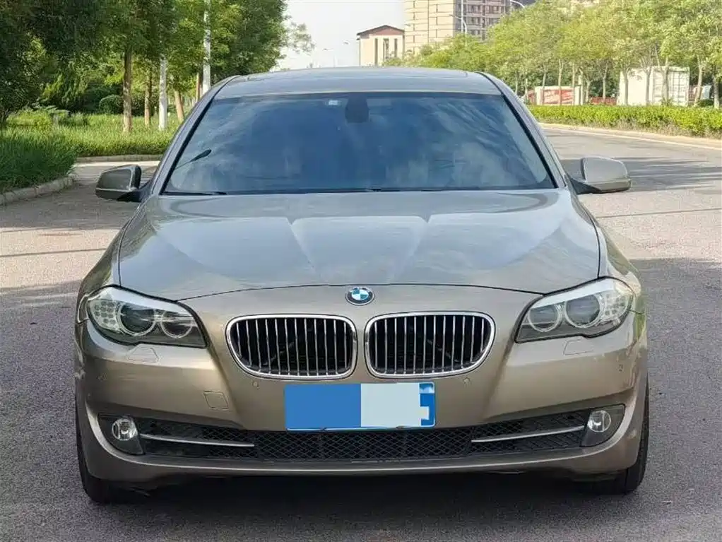 BMW 5 Series 2011 528Li Luxury фото 3