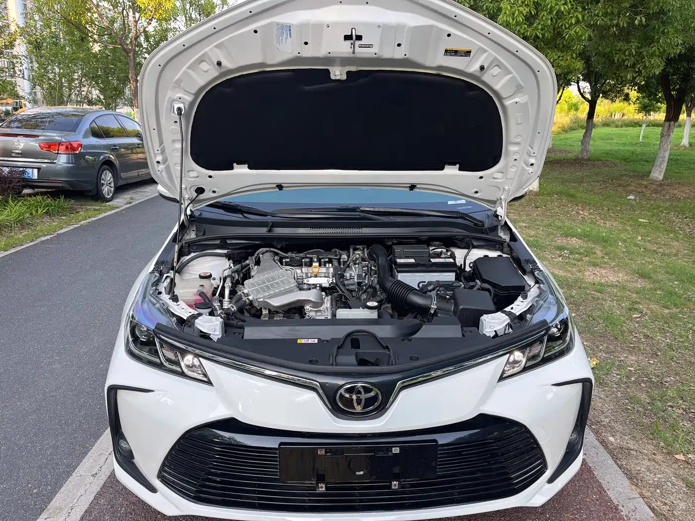 Toyota Corolla 2021 1.2T S-CVT Elite Edition фото 19