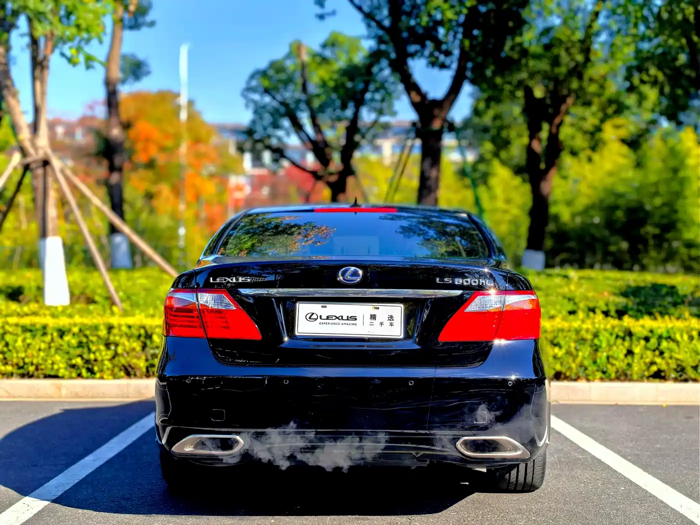 Lexus LS 2010 600hL фото 17