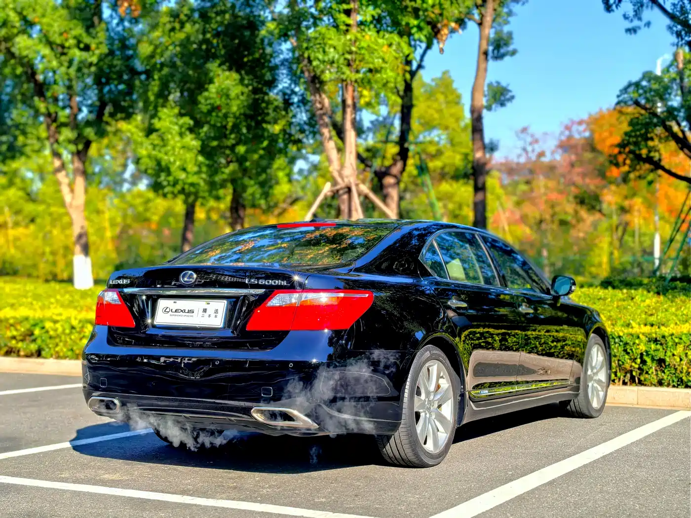 Lexus LS 2010 600hL фото 18