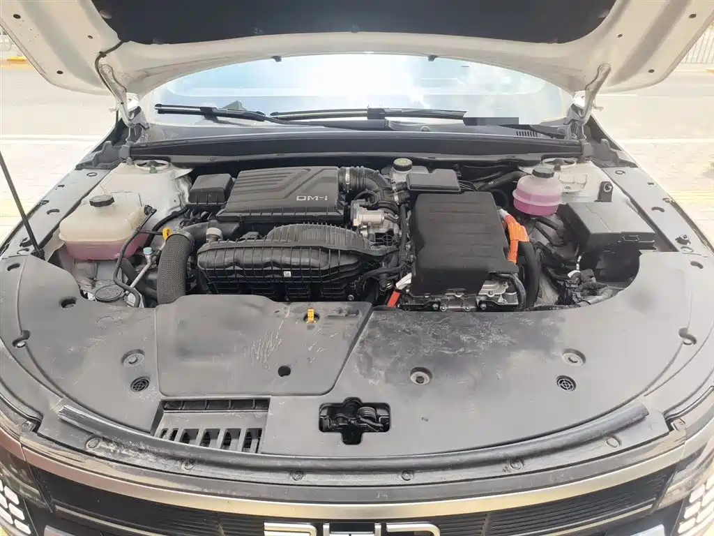 BYD Destroyer 05 2024 Glory Edition DM-i 55KM Luxury фото 11