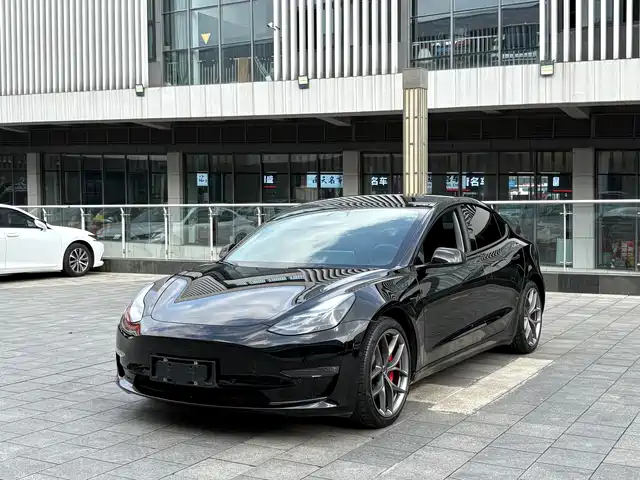 Tesla Model 3 2022 Performance High-Performance AWD