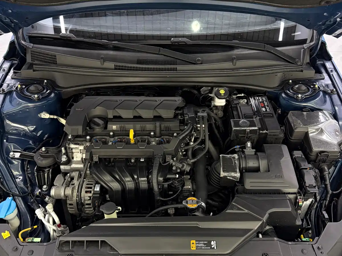 Hyundai Elantra 2021 1.5L CVT LUX Premium Edition фото 22