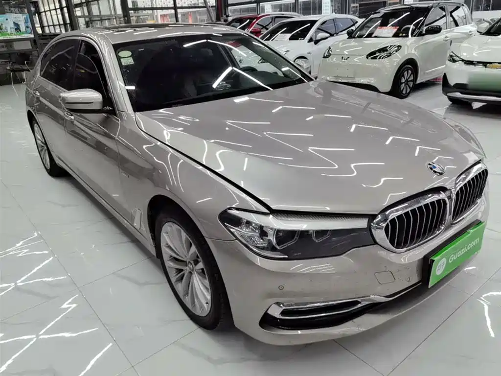 BMW 5 Series 2018 Facelift 530Li Leading Luxury Package фото 4