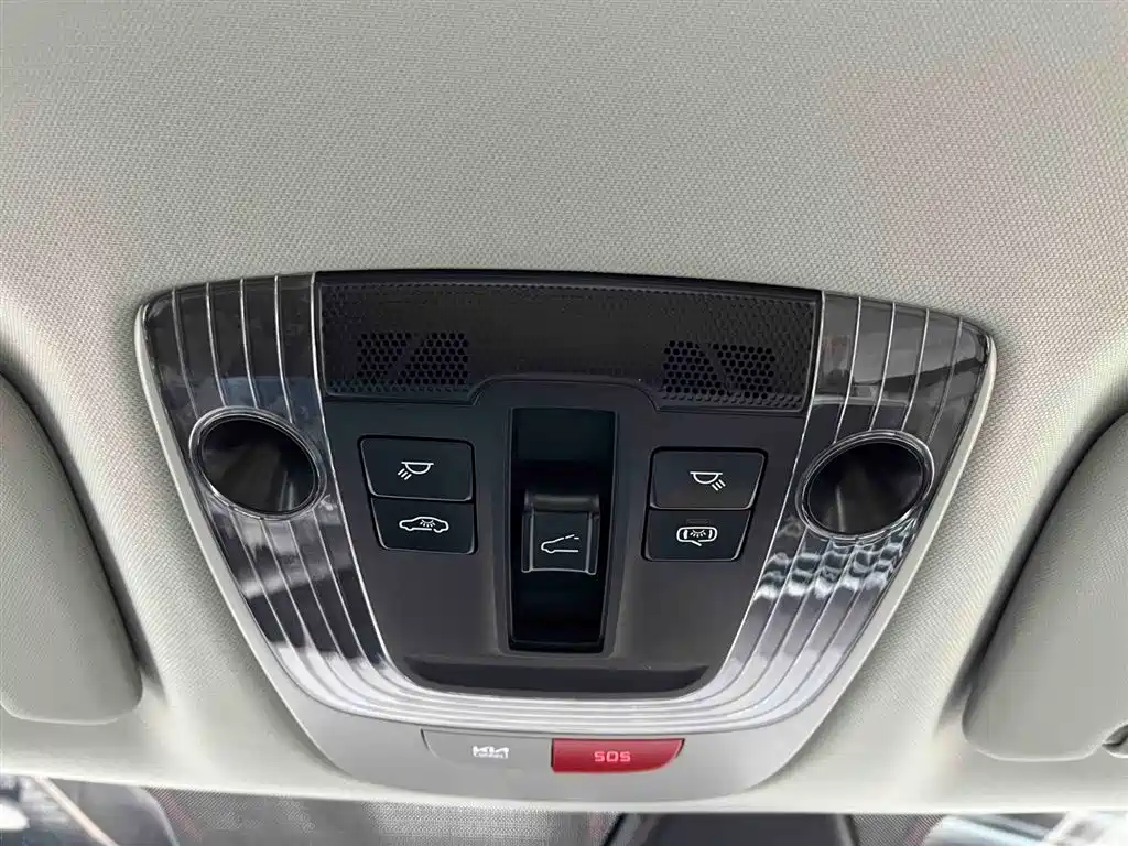 KIA LION PLATINUM EXPANDS THE WORLD