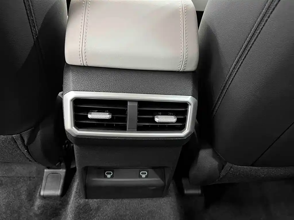 KIA LION PLATINUM EXPANDS THE WORLD