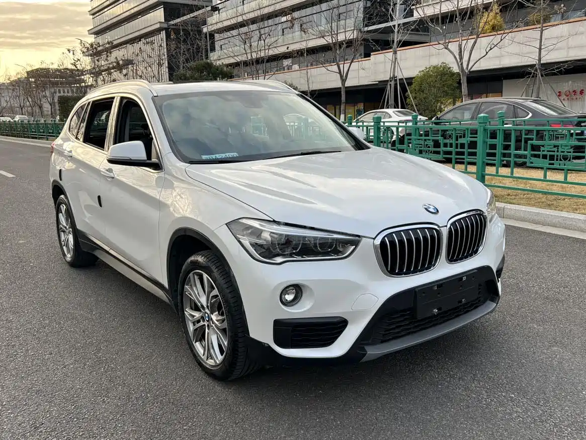BMW X1 2019 sDrive20Li Leading Model фото 3