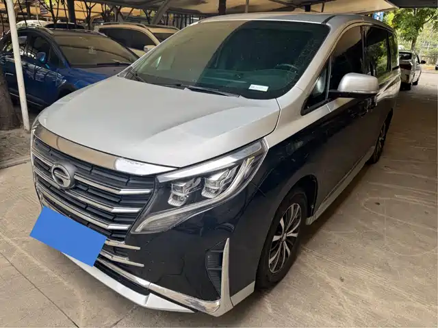 Trumpchi M8 Elegance Series, 390T, Премиум