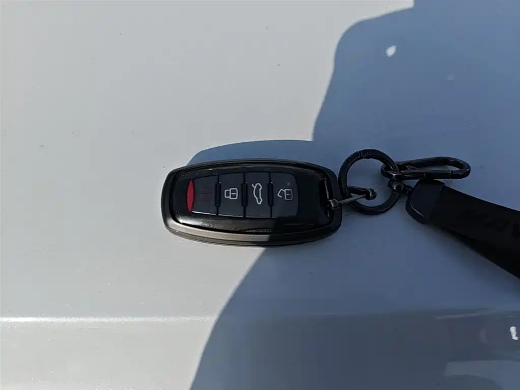 Haval Big Dog 2024 1.5T DCT Border Collie Edition фото 9