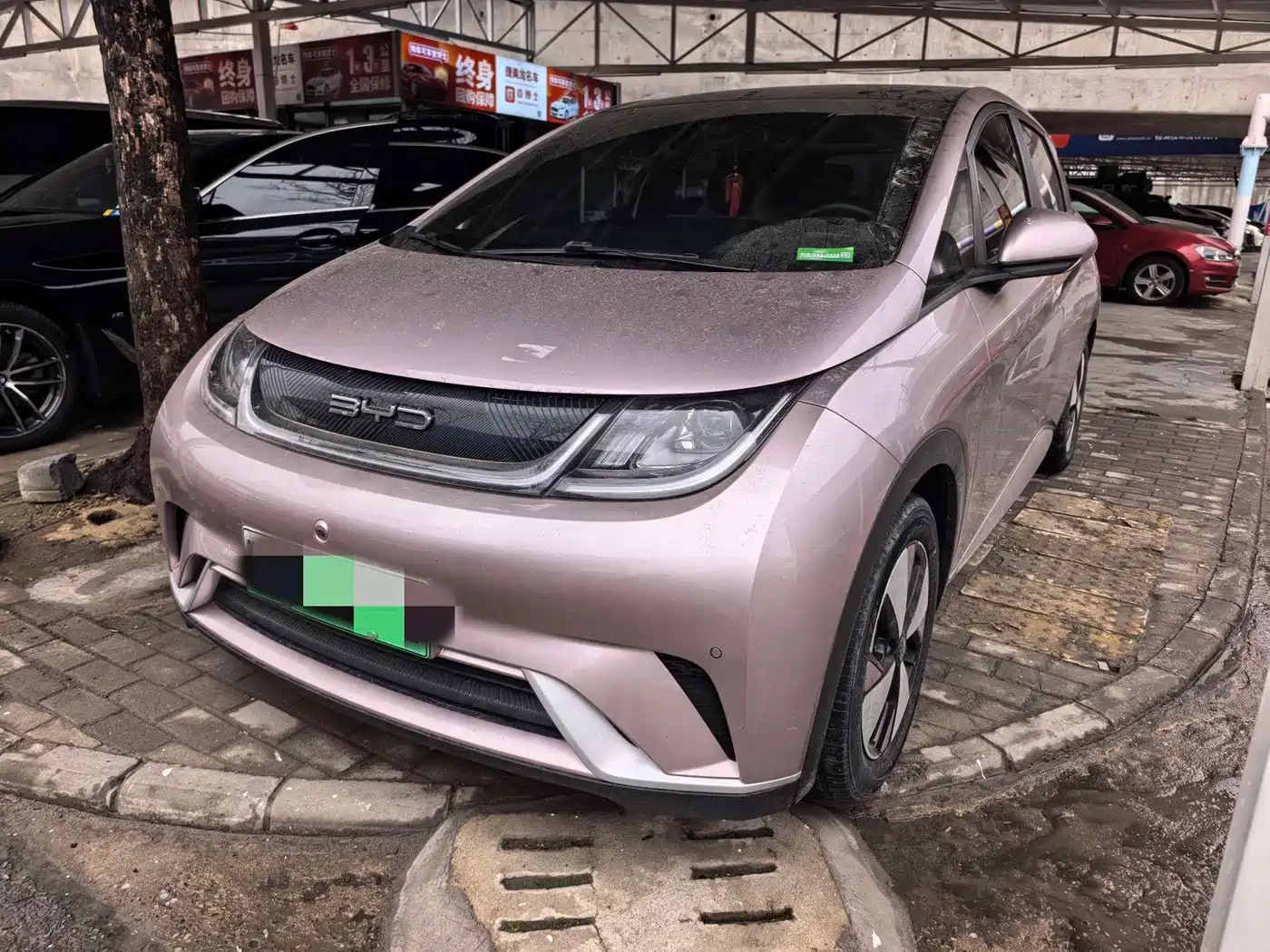 BYD Dolphin 2023 420km Fashion Edition