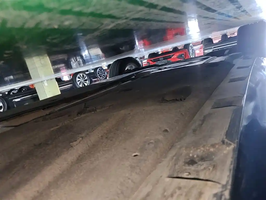 Volkswagen Magotan 2019 330TSI DSG Leading China VI фото 21