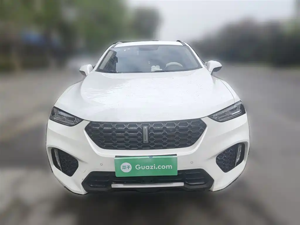 WEY VV7 2018 2017 2.0T Luxury